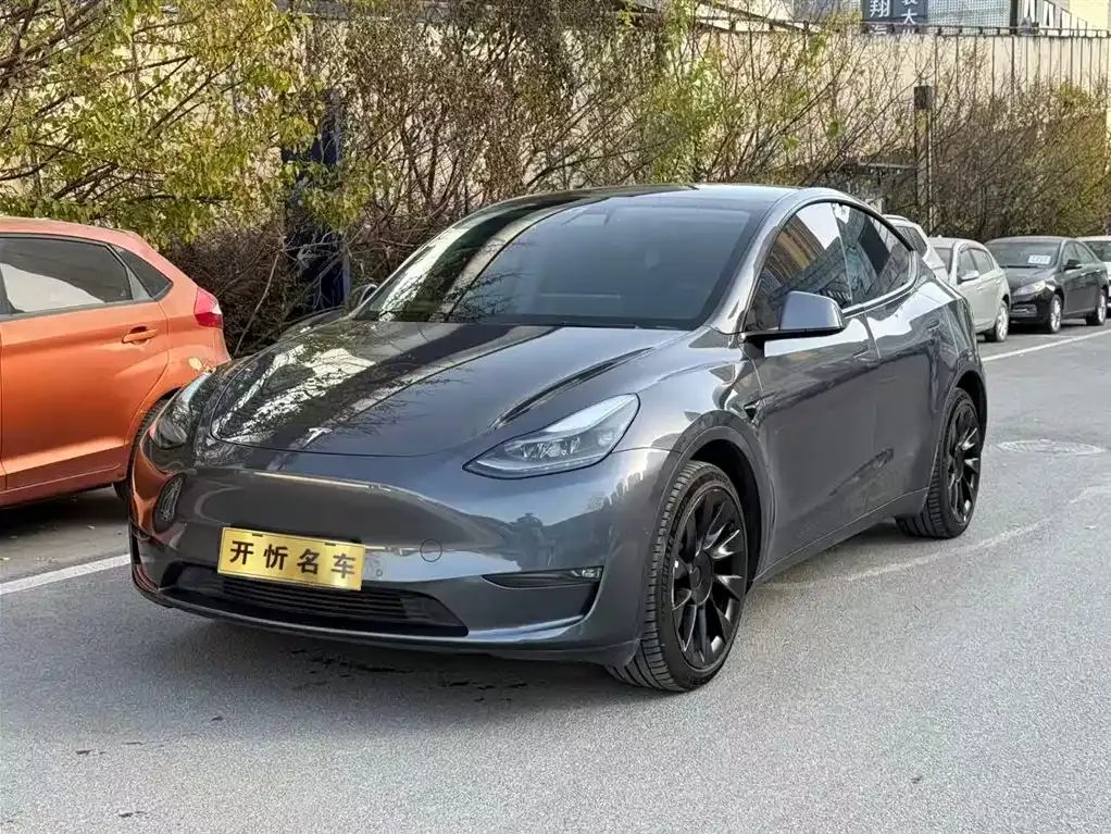 Tesla Model Y — фото 1