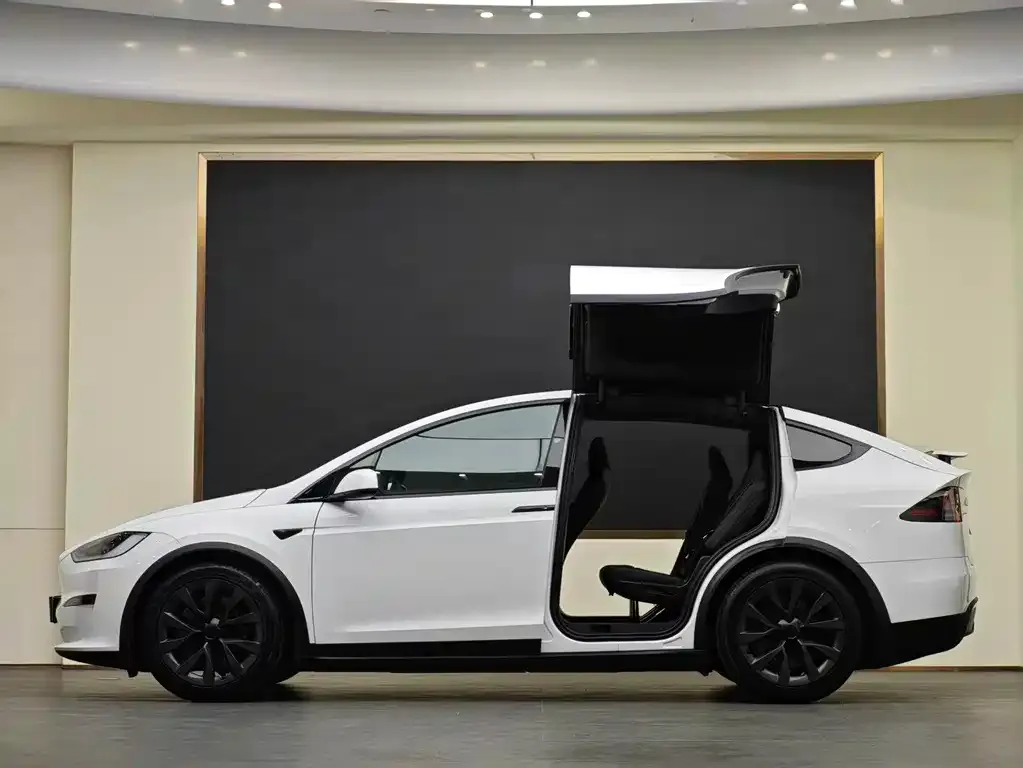 Tesla Model X — фото 3