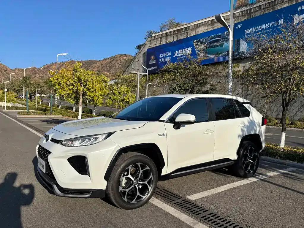 Toyota Wildlander New Energy — фото 1