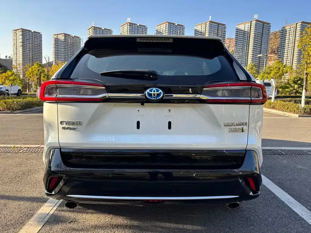 Toyota Wildlander New Energy — фото 10
