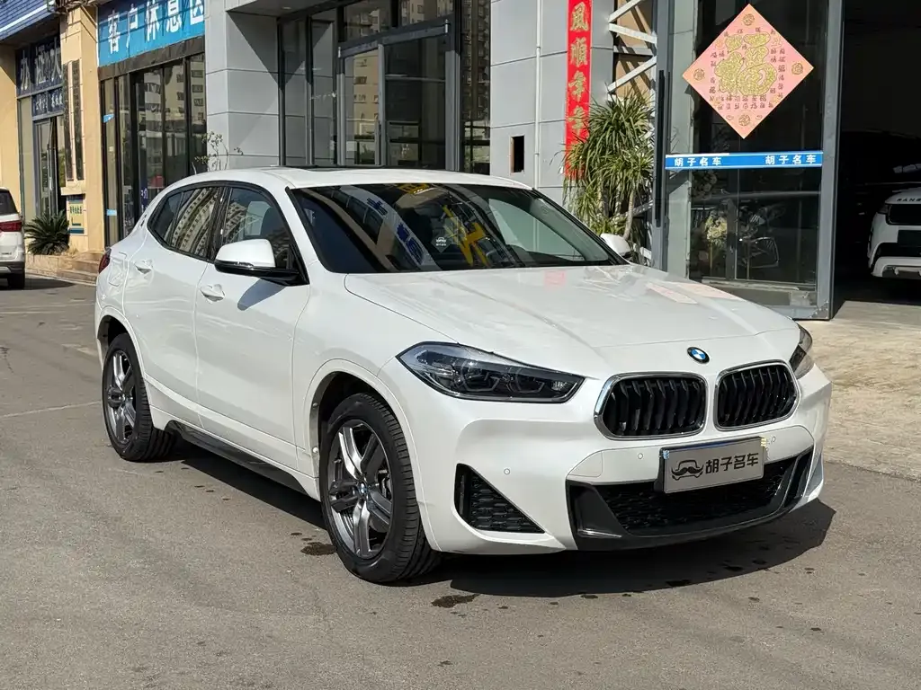 BMW X2 — фото 1