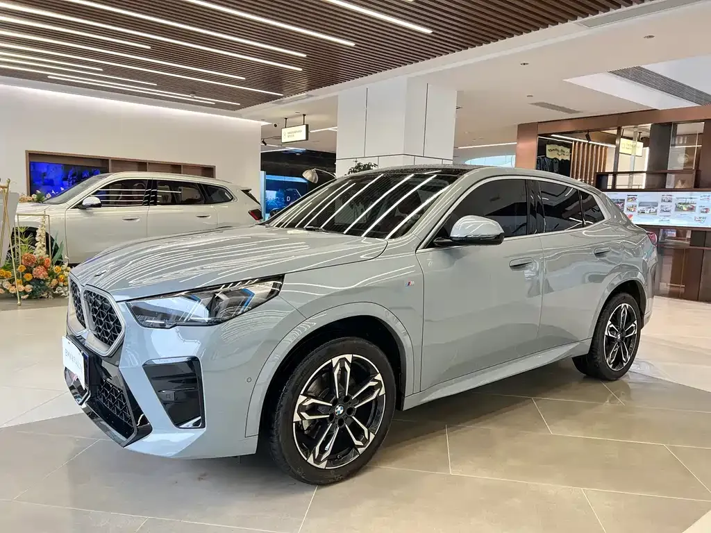 BMW X2 (Import) — фото 1