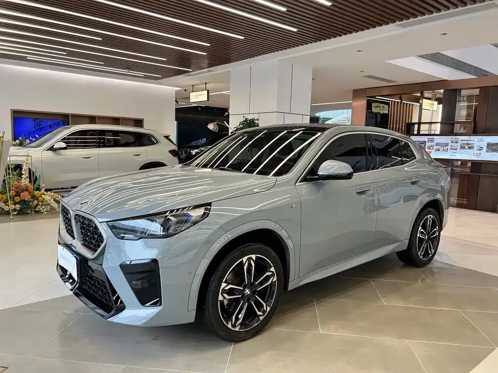 BMW X2 (Import) — фото 10