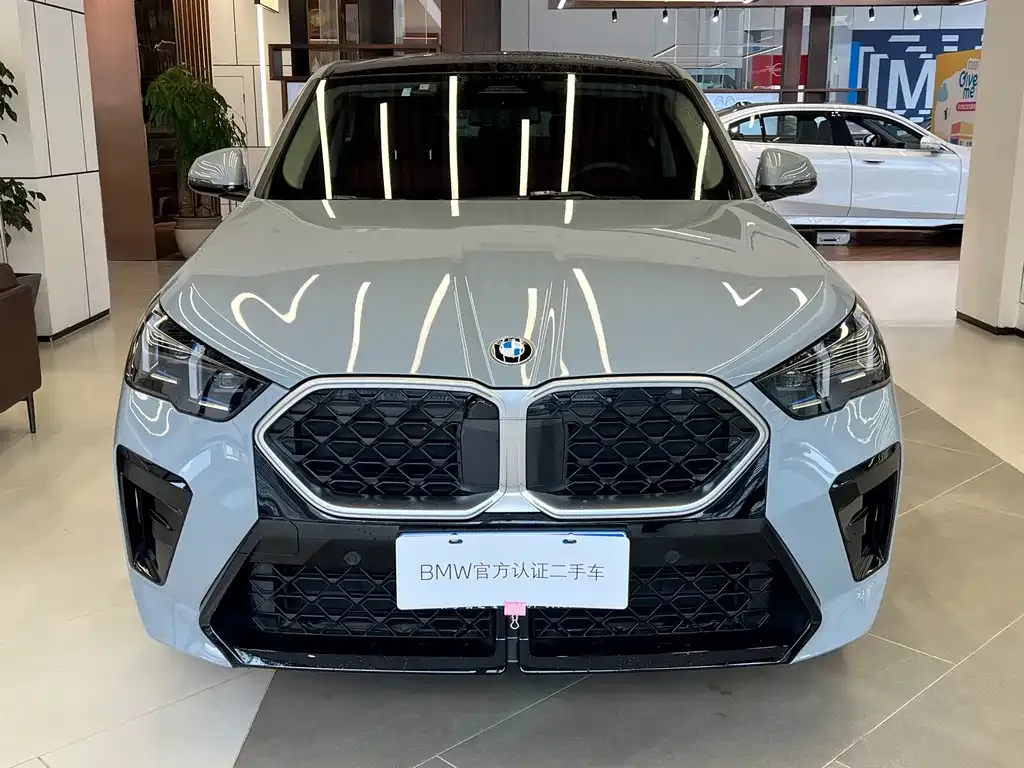BMW X2 (Import) — фото 2