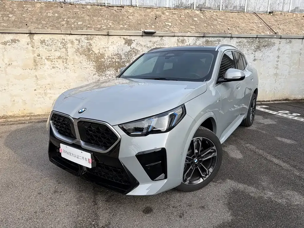 BMW X2 (Import) — фото 1