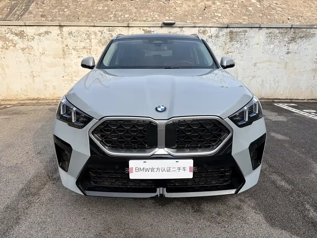 BMW X2 (Import) — фото 8