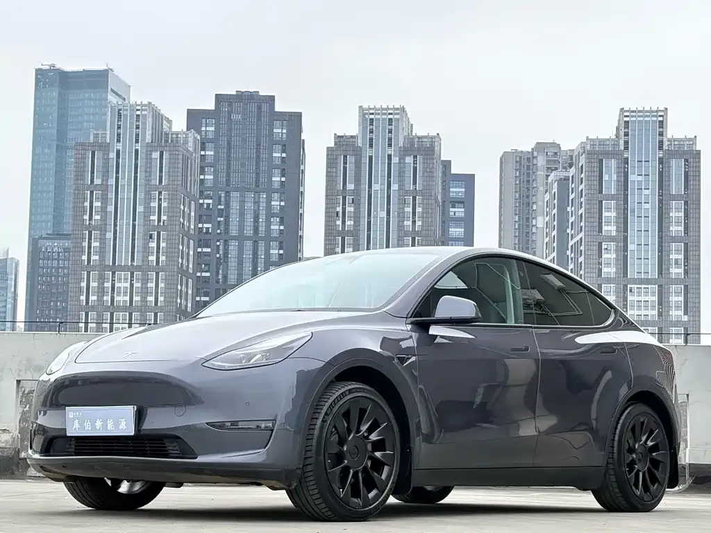 Tesla Model Y — фото 1