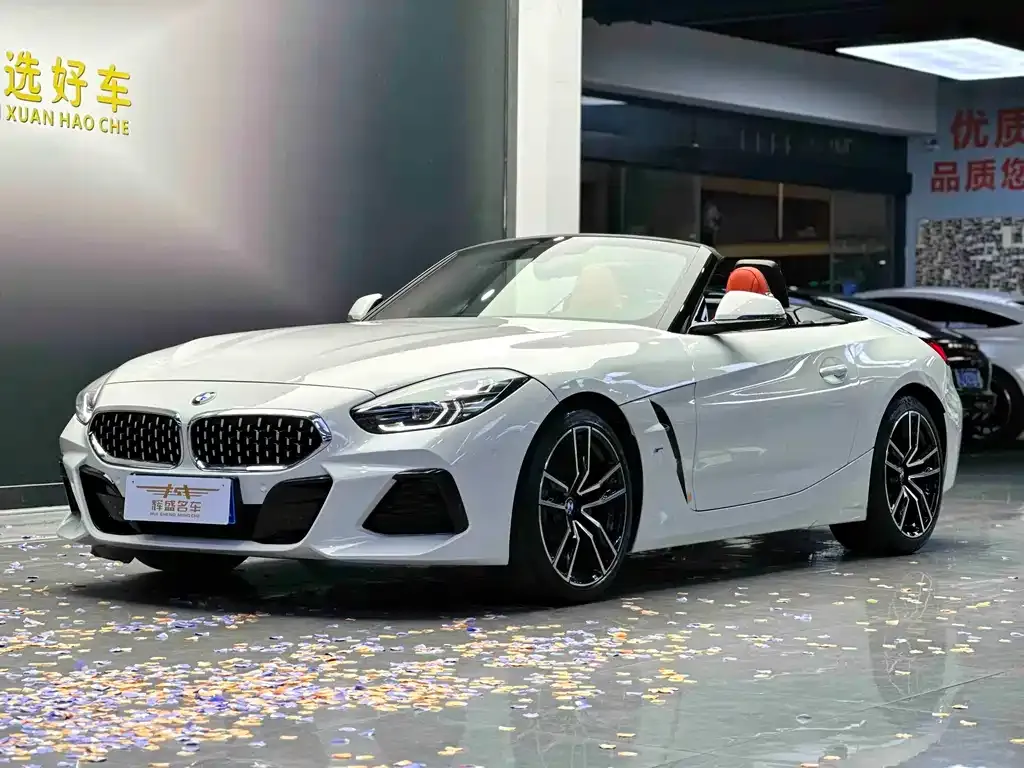 BMW Z4 — фото 1