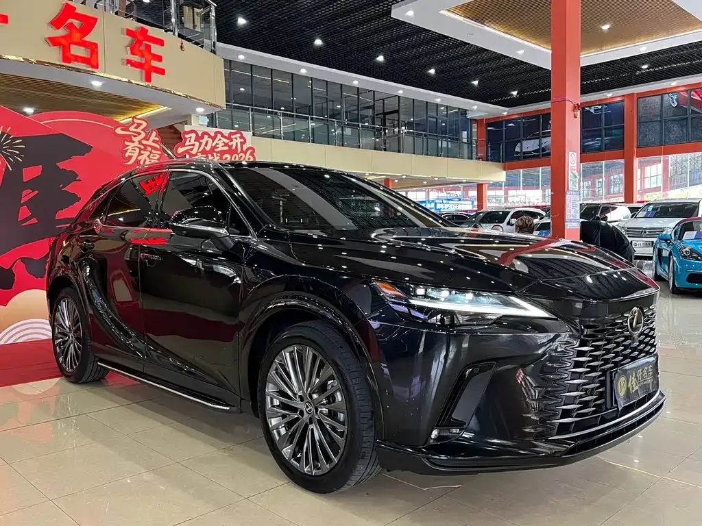 Lexus RX — фото 10