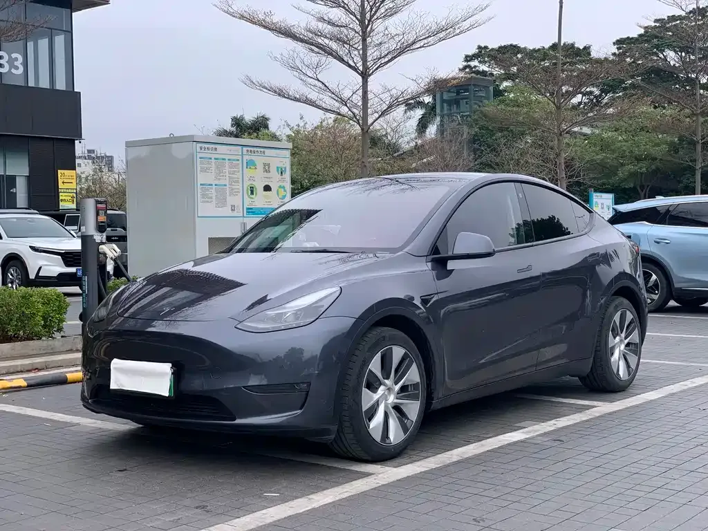 Tesla Model Y — фото 1