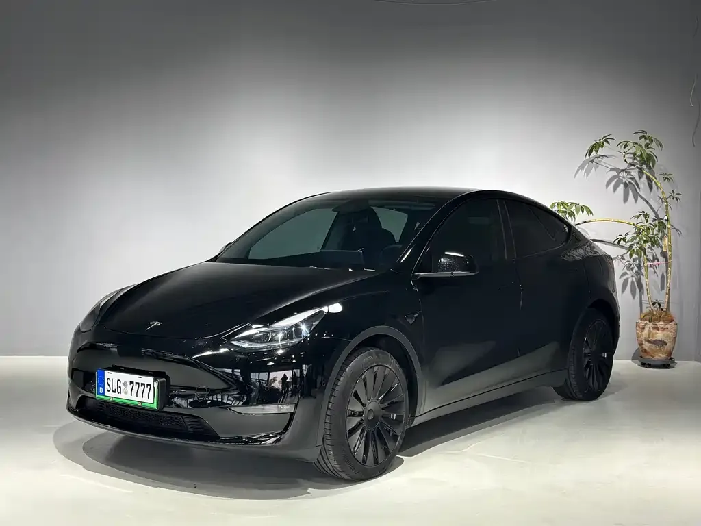Tesla Model Y — фото 1