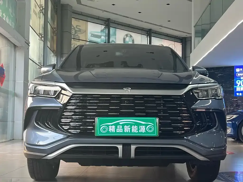 BYD Pro New Energy — фото 2