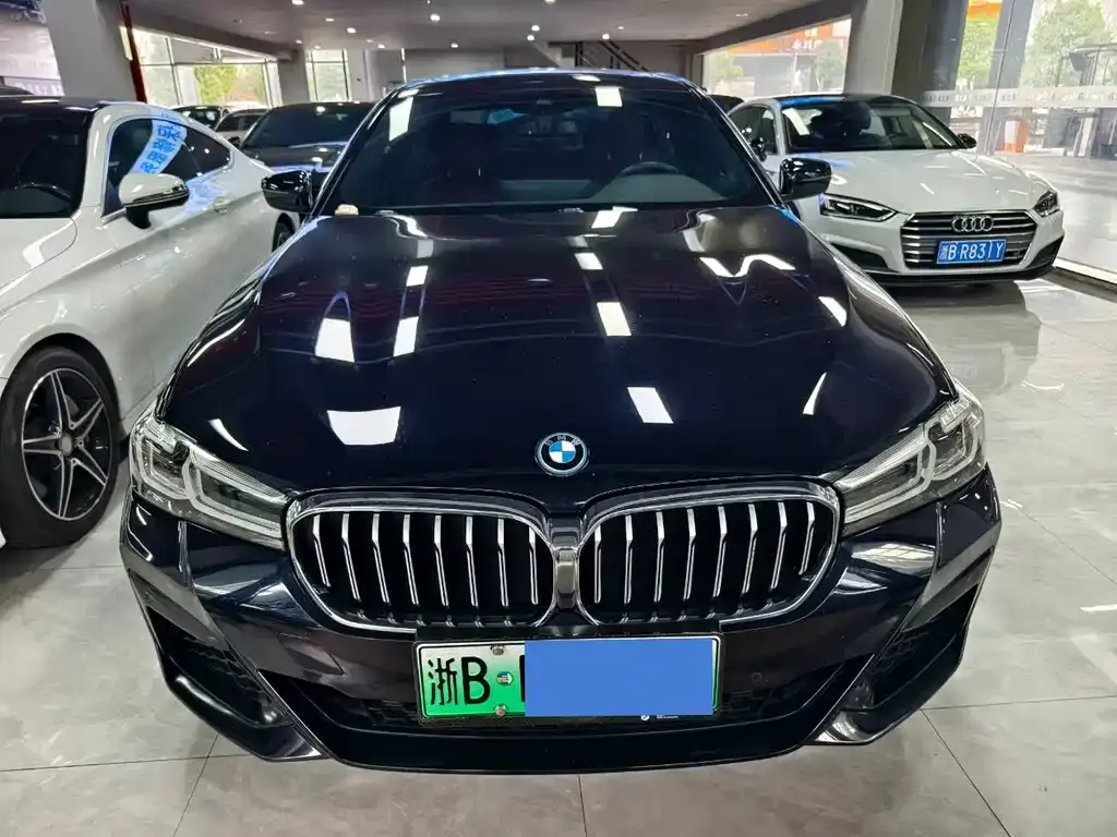BMW 5 Series New Energy — фото 6