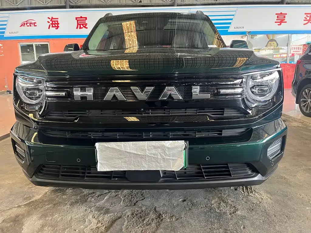 Haval H7 (Big Dog Plus) New Energy — фото 5