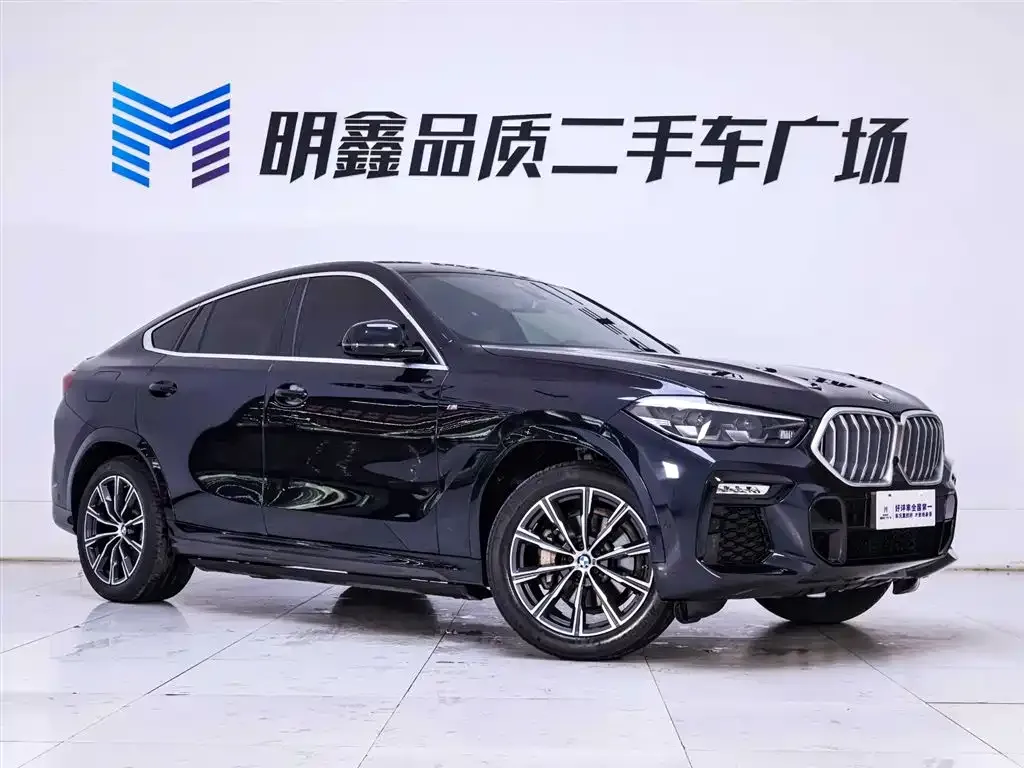 BMW X6 — фото 9
