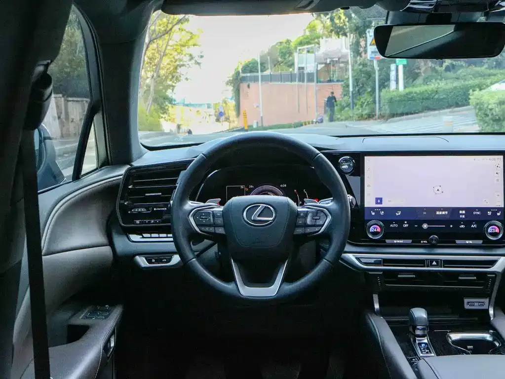 Lexus RX — фото 10
