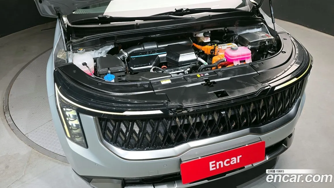 Kia Carnival — фото 10