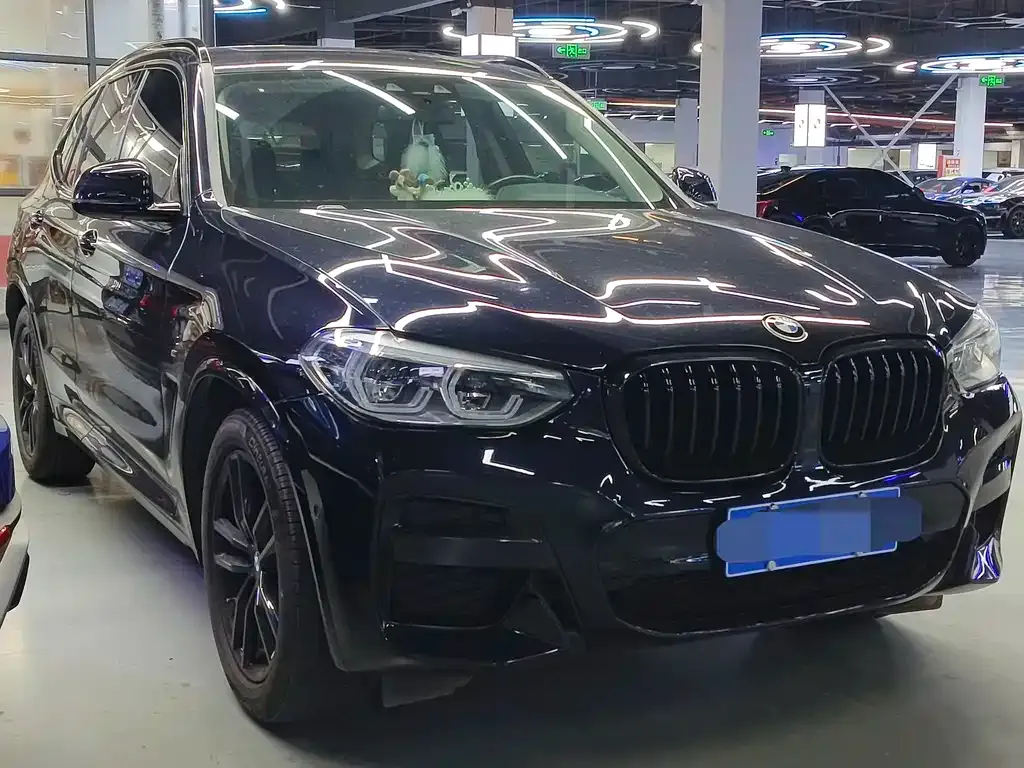 BMW X3 — фото 9