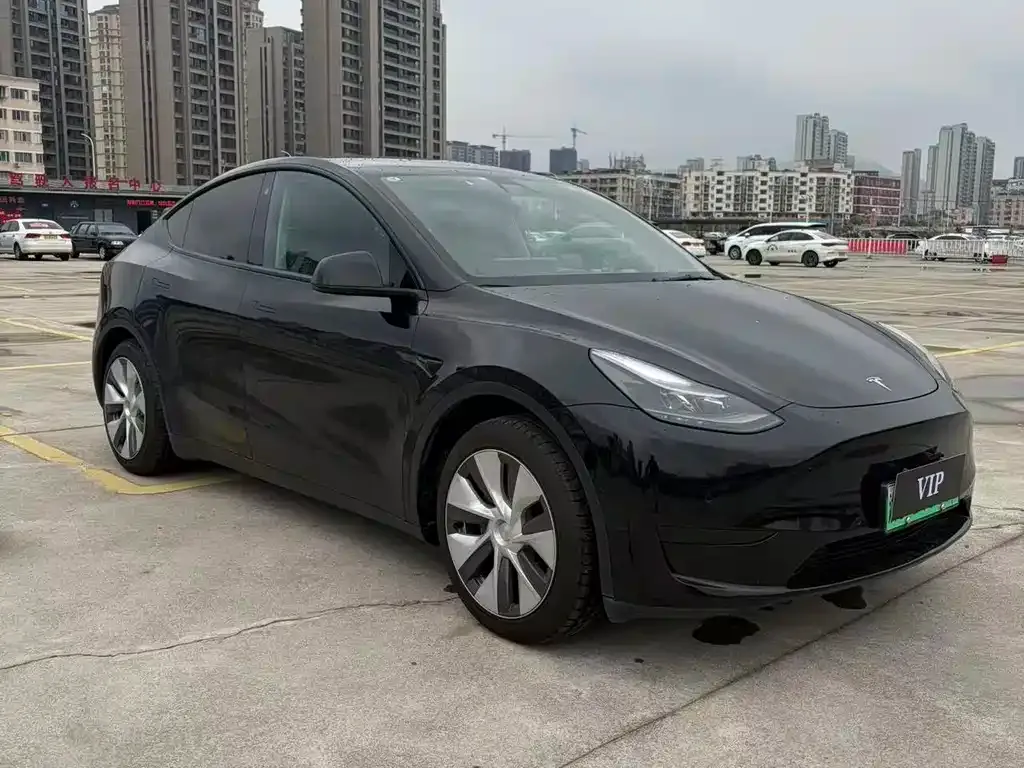 Tesla Model Y — фото 1