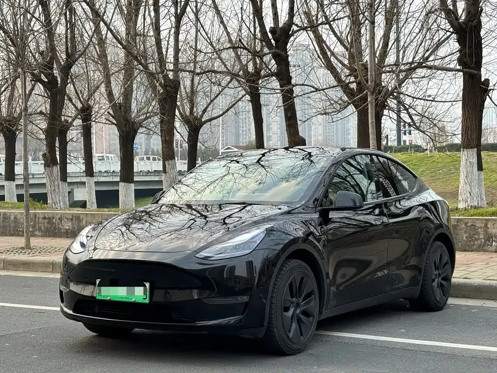 Tesla Model Y — фото 1