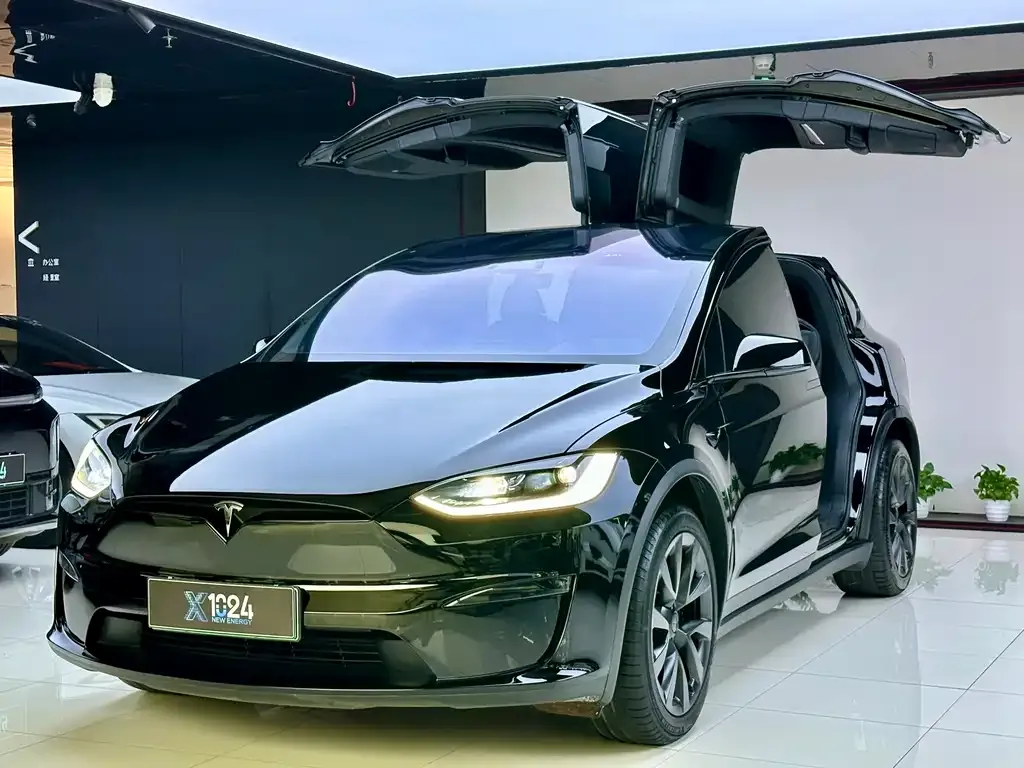 Tesla Model X — фото 1