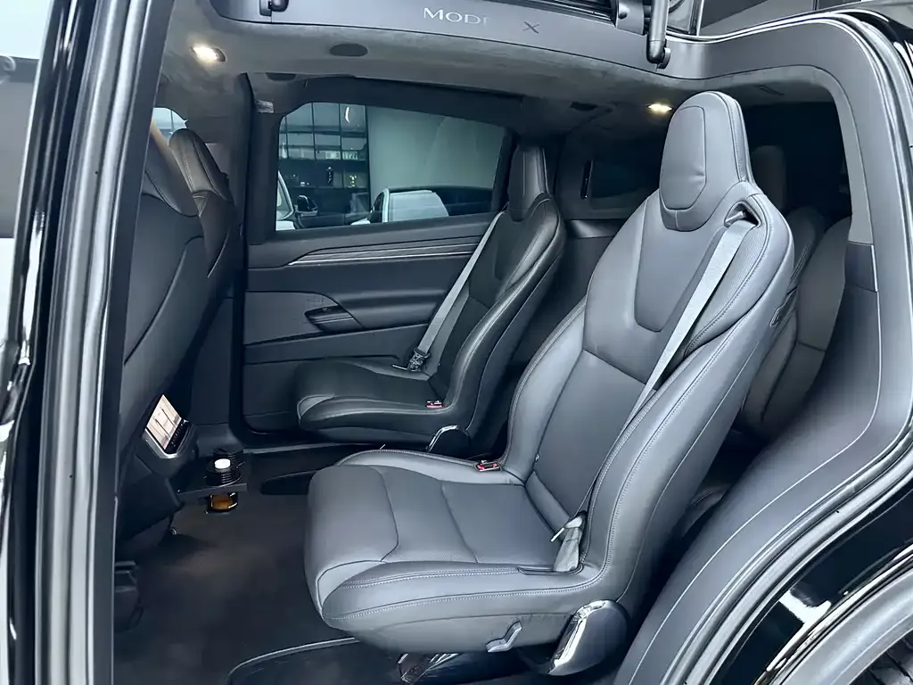 Tesla Model X — фото 10