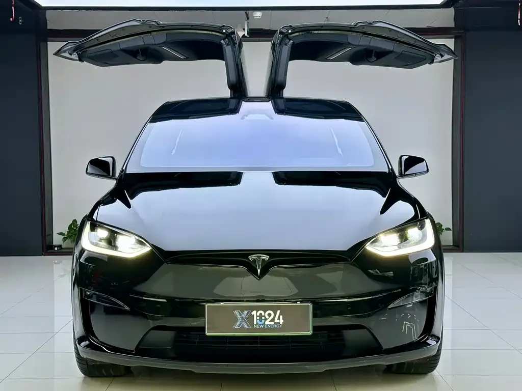 Tesla Model X — фото 4