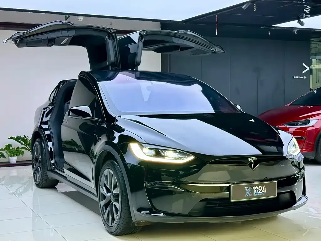 Tesla Model X — фото 5