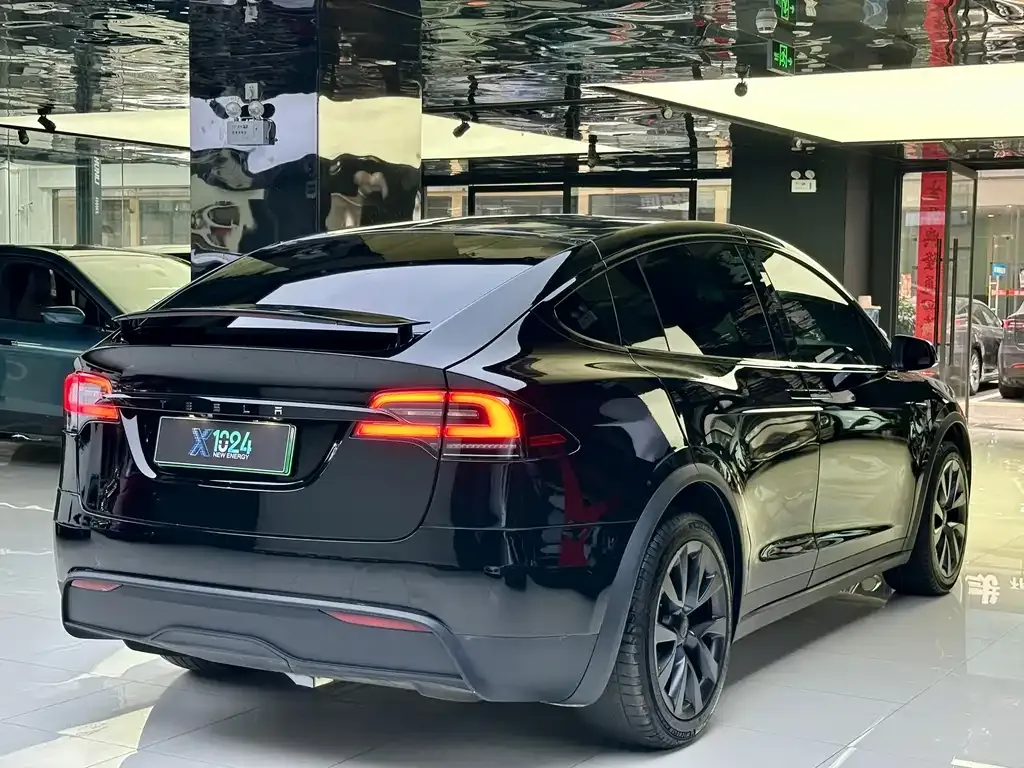 Tesla Model X — фото 9