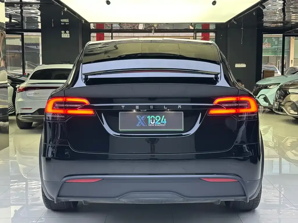Tesla Model X — фото 8