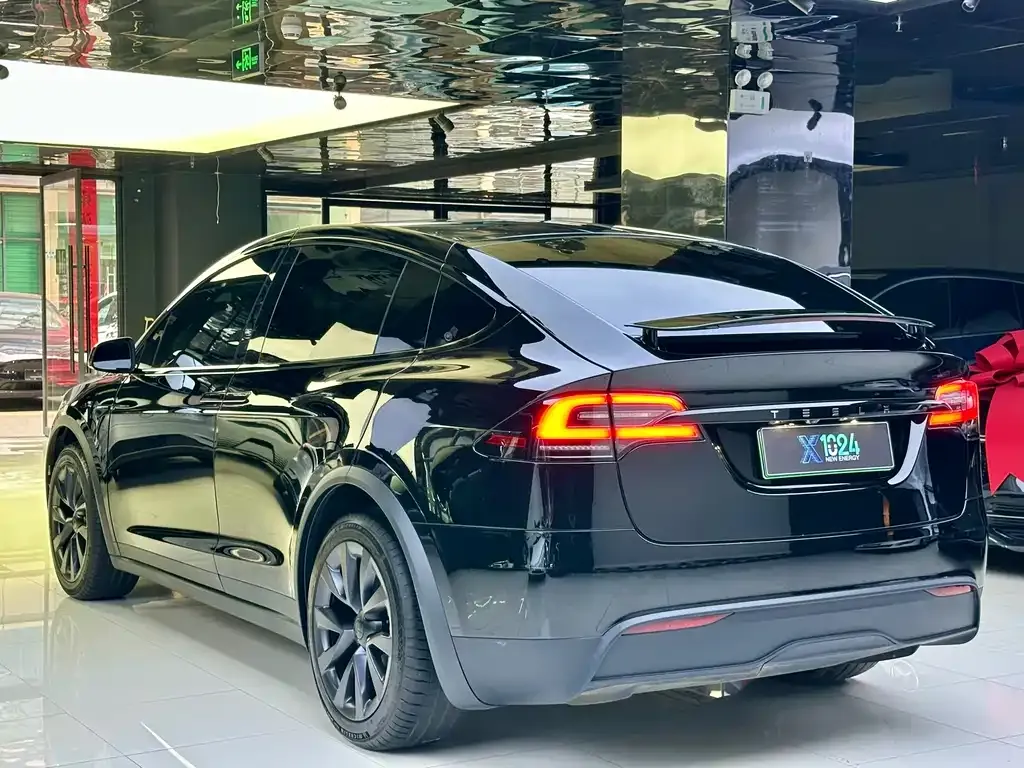 Tesla Model X — фото 6