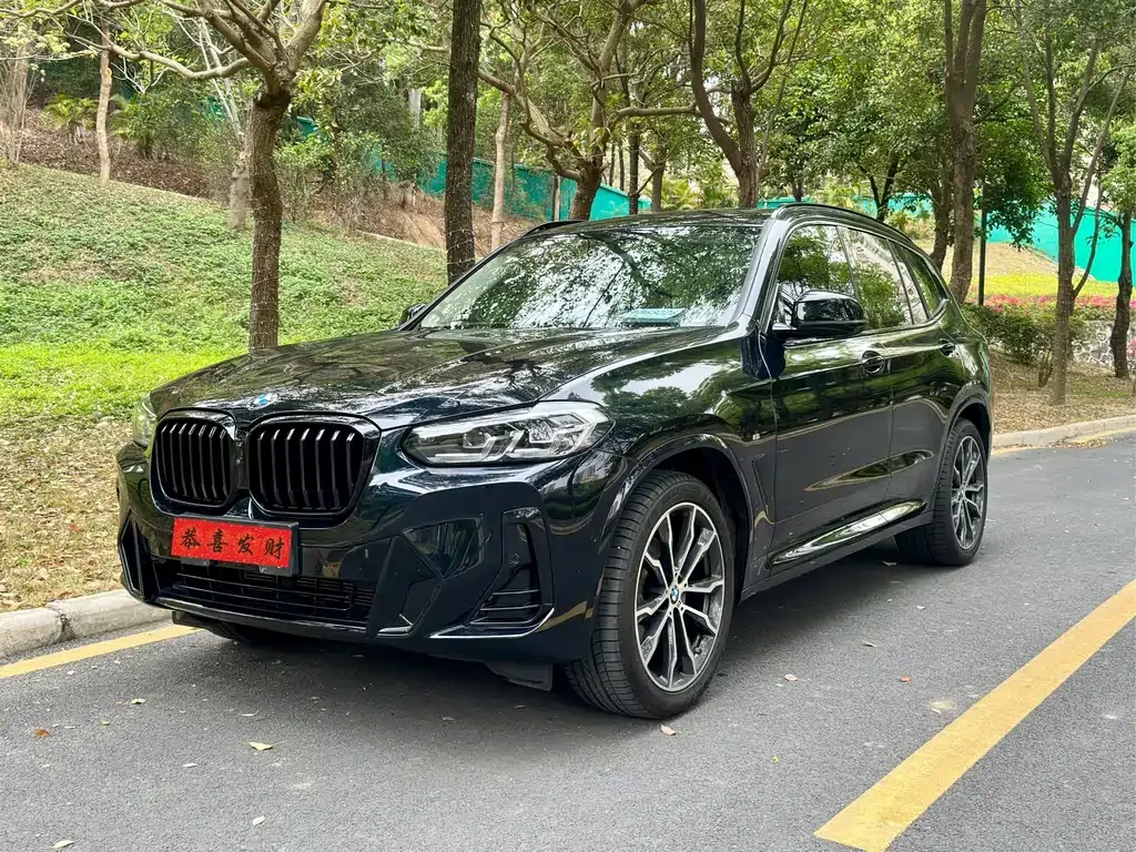 BMW X3 — фото 1