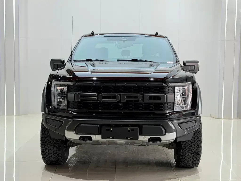 Ford F-150 Raptor — фото 1
