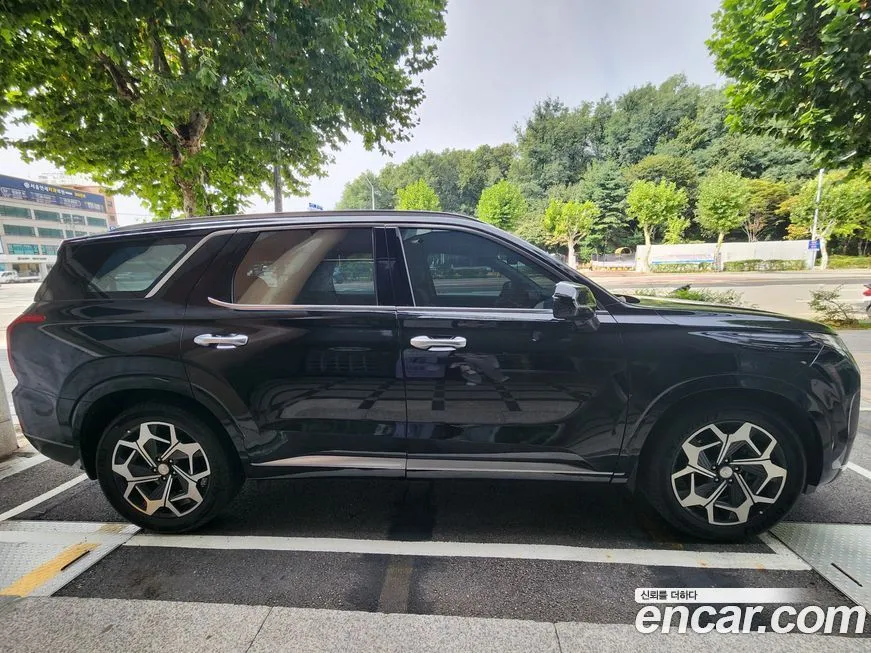 Hyundai Palisade — фото 10