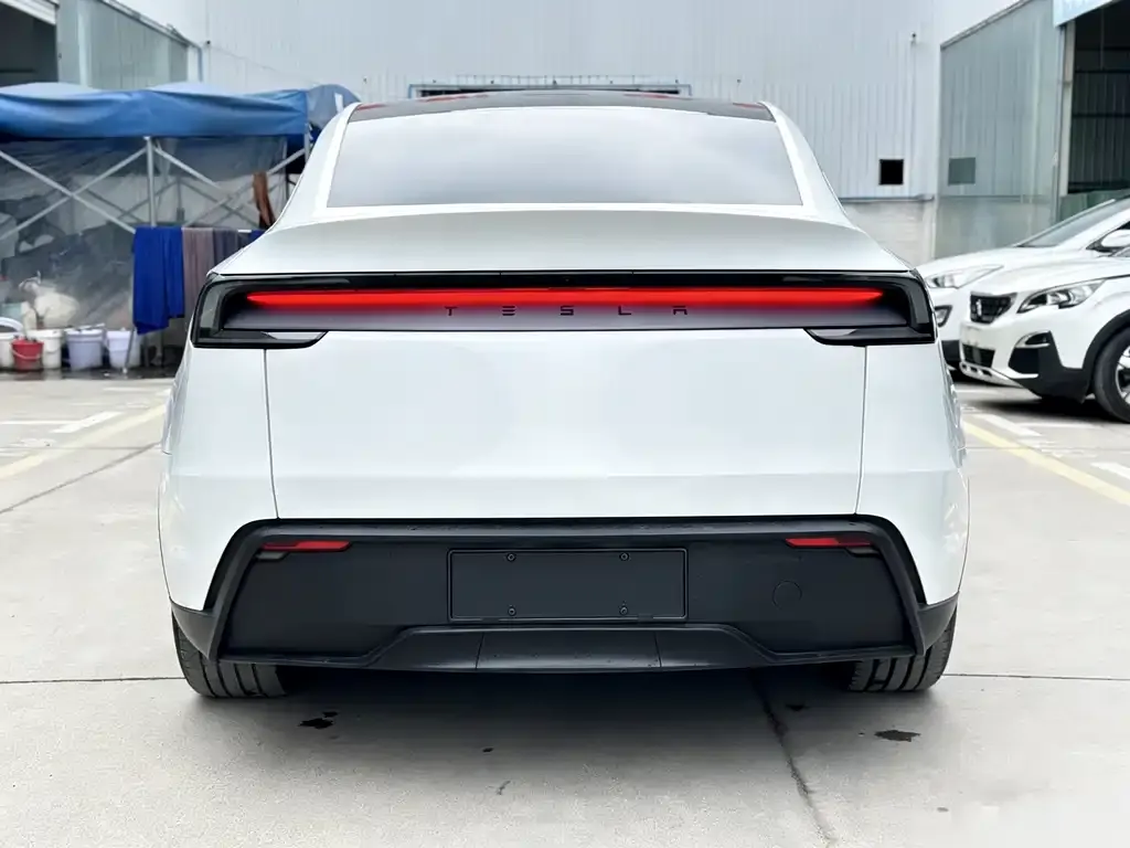 Tesla Model Y — фото 2