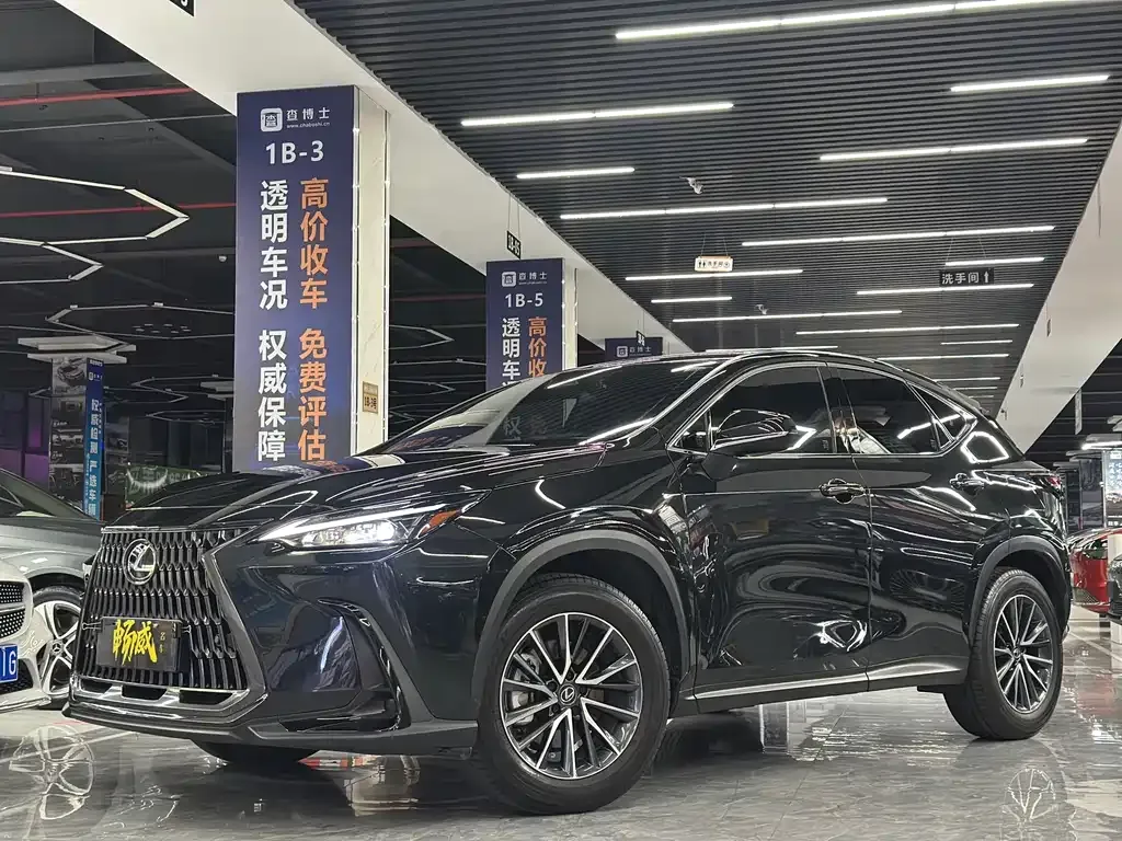 Lexus NX — фото 1