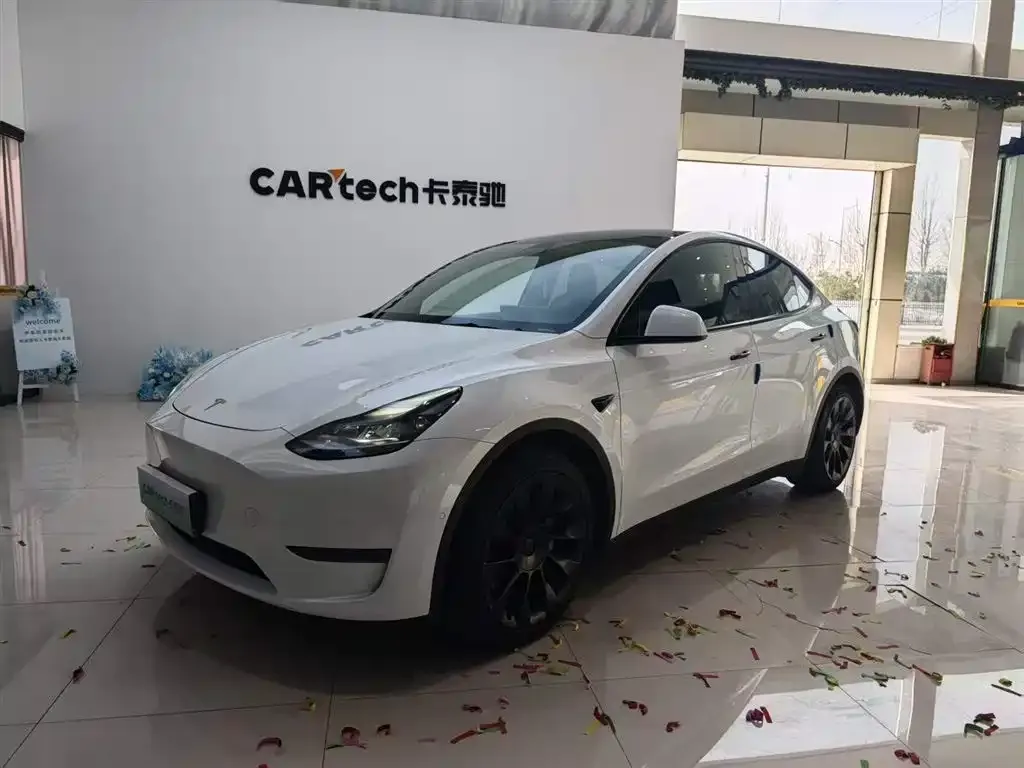 Tesla Model Y — фото 1
