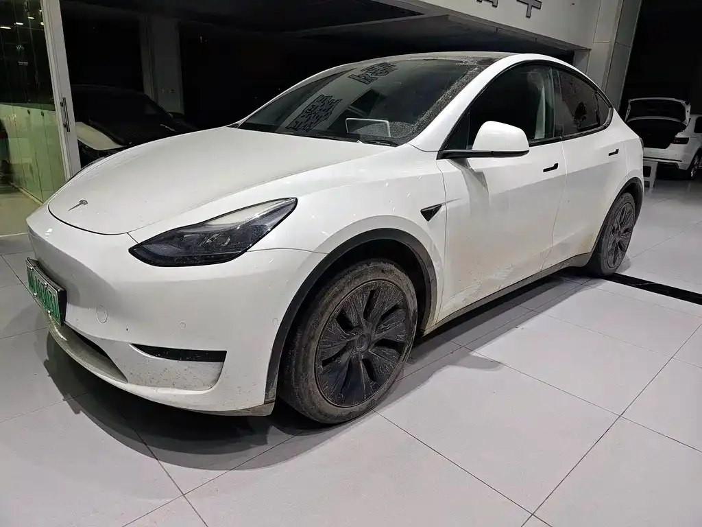 Tesla Model Y — фото 1