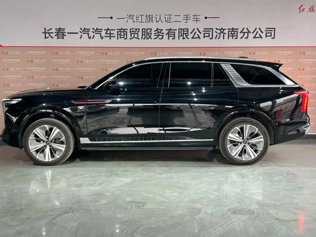 Hongqi E-HS9 — фото 8