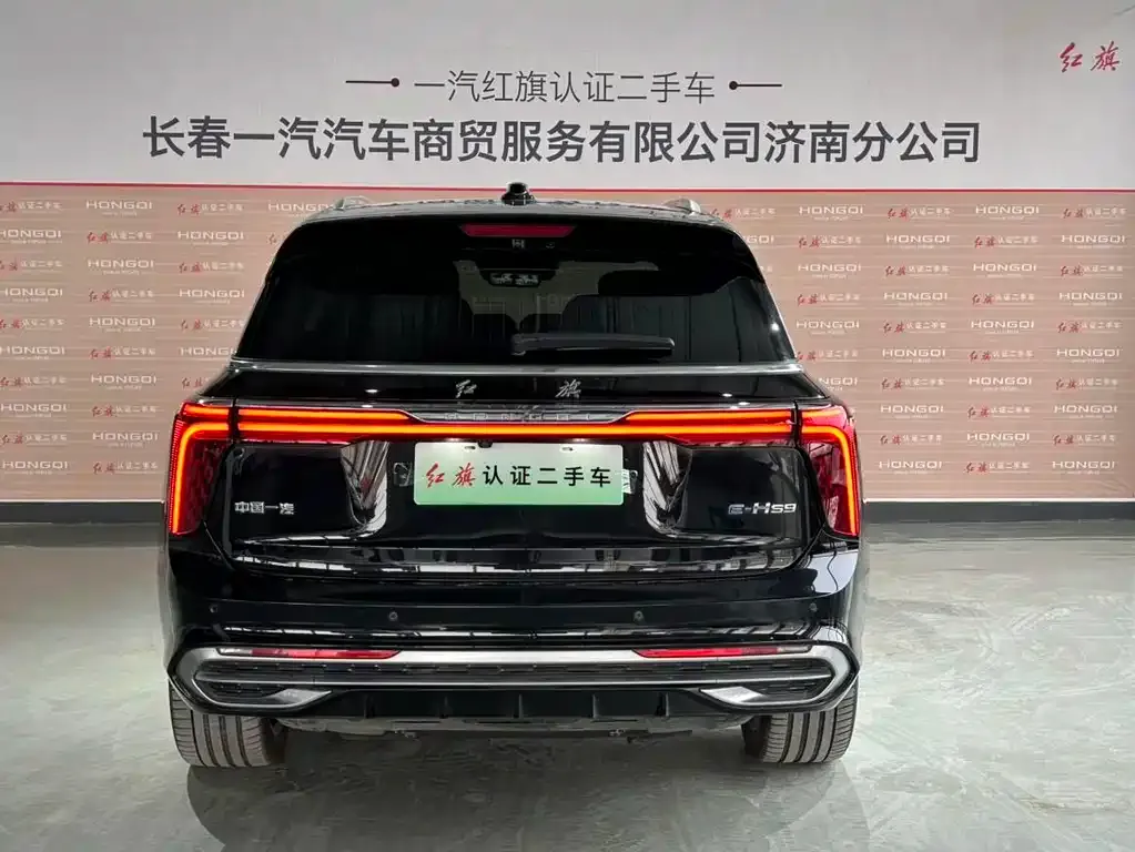Hongqi E-HS9 — фото 5