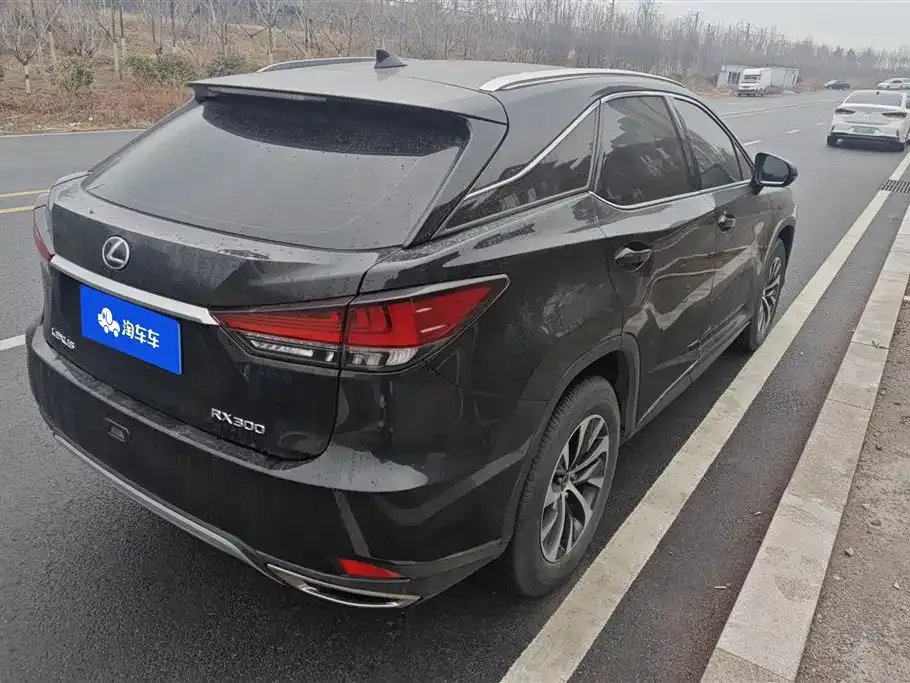 Lexus RX — фото 9