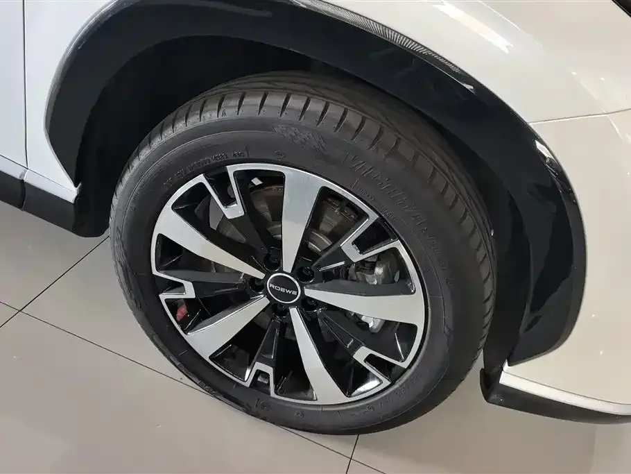 Roewe D5X DMH — фото 10