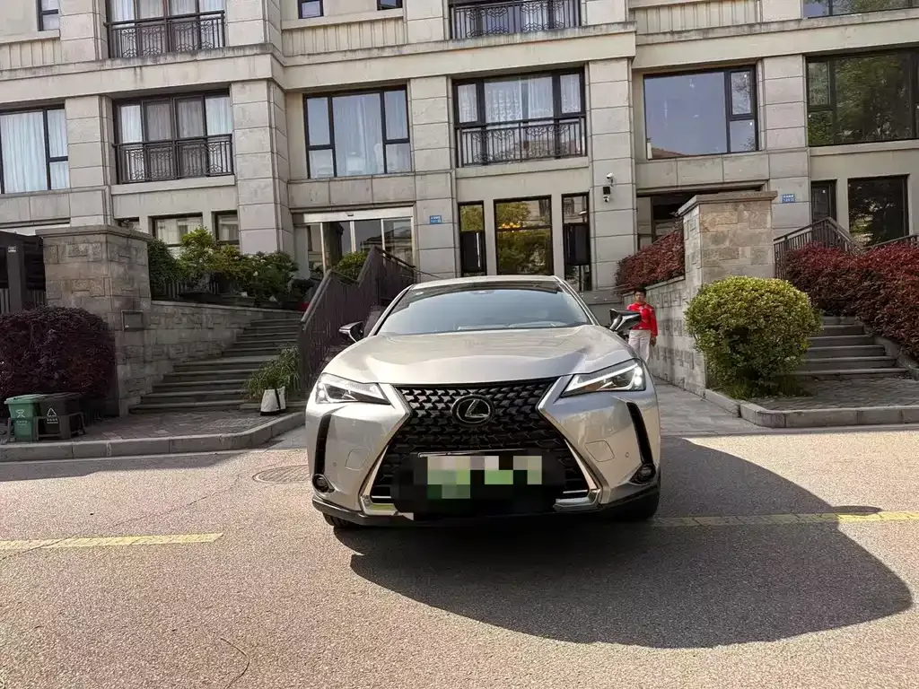 Lexus UX New Energy — фото 5