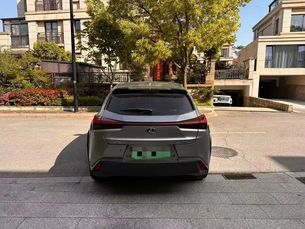 Lexus UX New Energy — фото 8