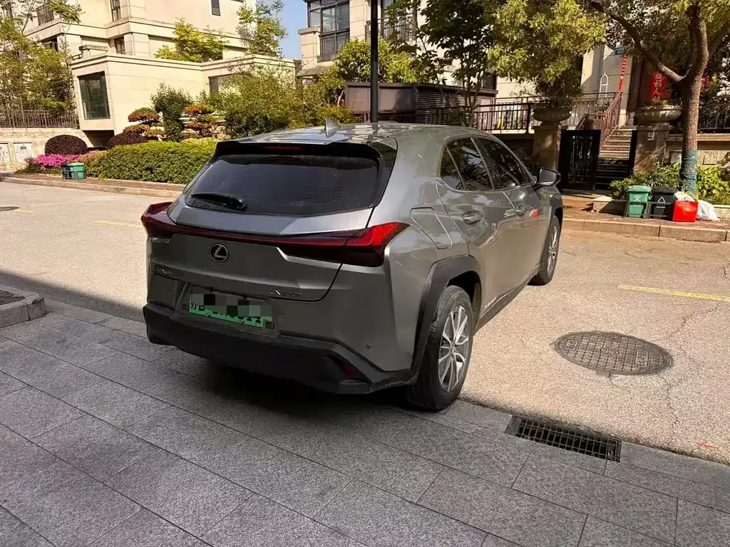 Lexus UX New Energy — фото 6
