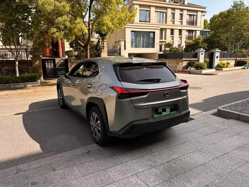 Lexus UX New Energy — фото 9
