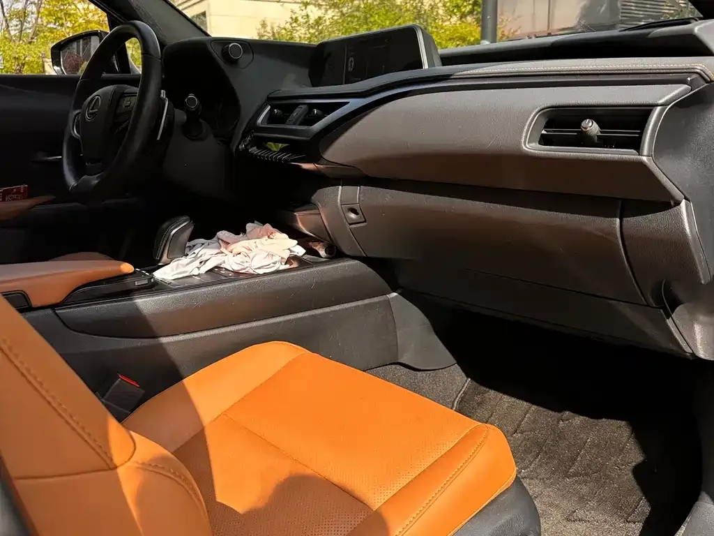 Lexus UX New Energy — фото 3