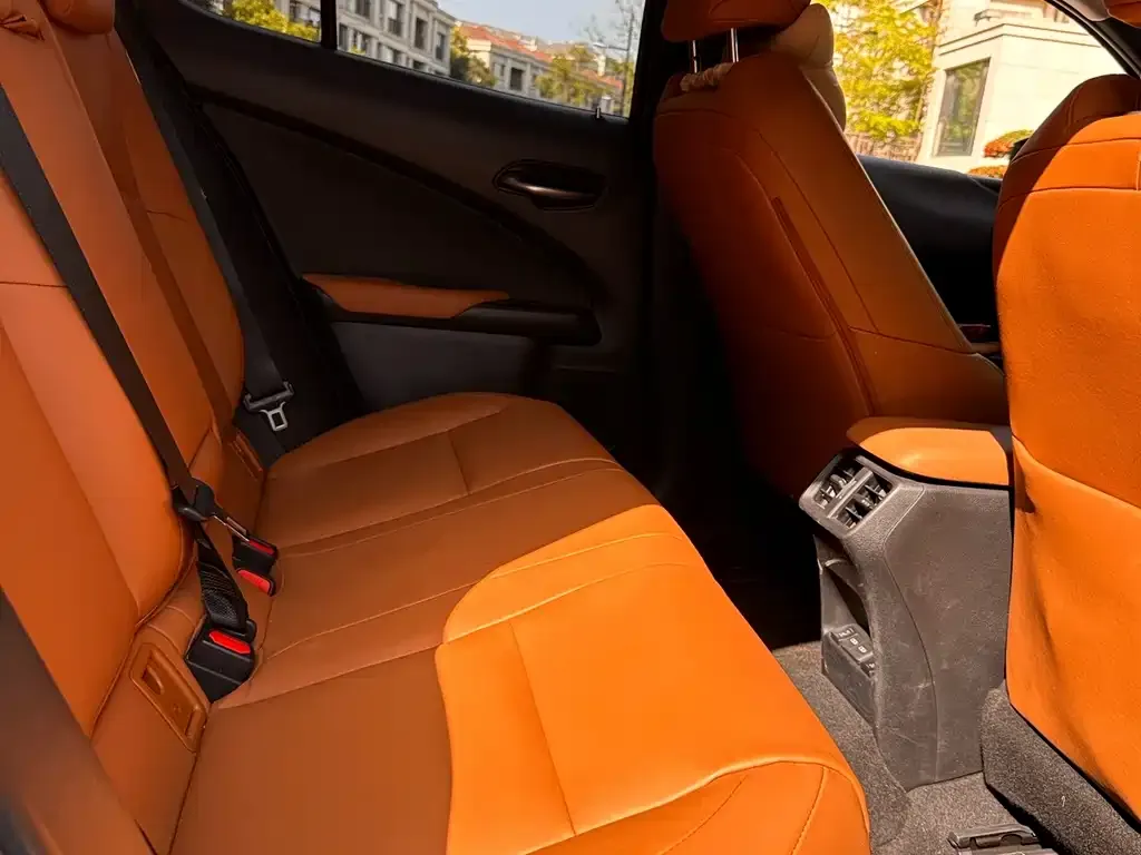 Lexus UX New Energy — фото 2