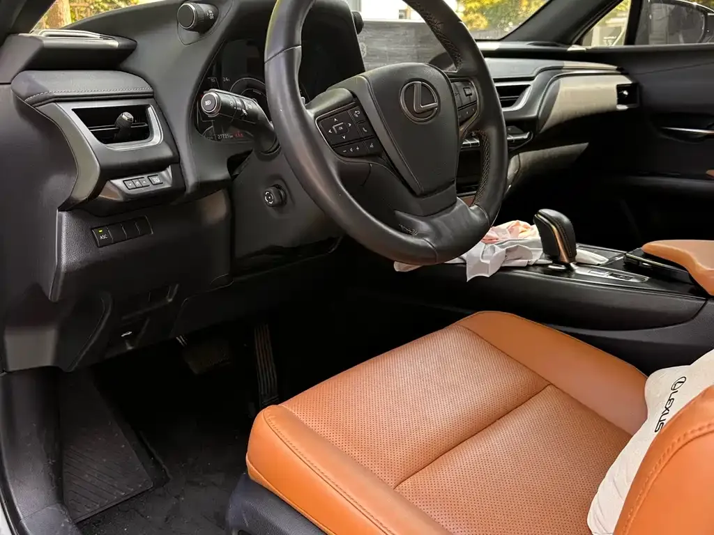 Lexus UX New Energy — фото 4