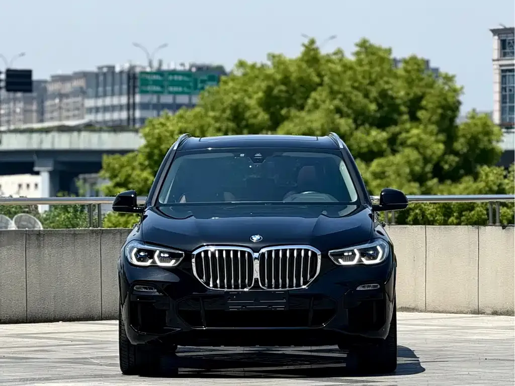 BMW X5 (Import) — фото 4